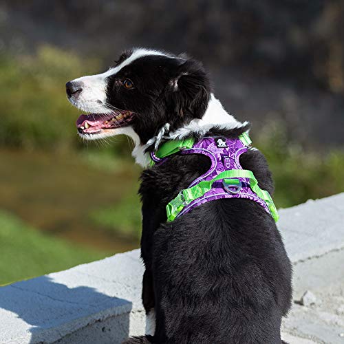 Truelove Nylon Reflective Camouflage Pet Harness