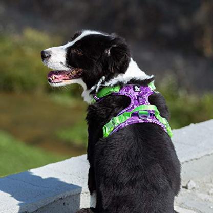 Truelove Nylon Reflective Camouflage Pet Harness