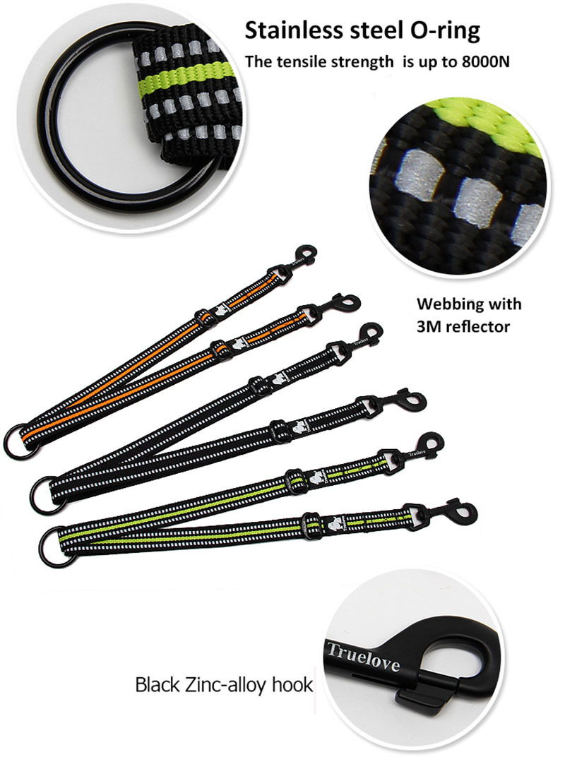 Truelove Nylon 2 in 1 Dog Leash (TLL2371)