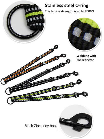 Truelove Nylon 2 in 1 Dog Leash (TLL2371)