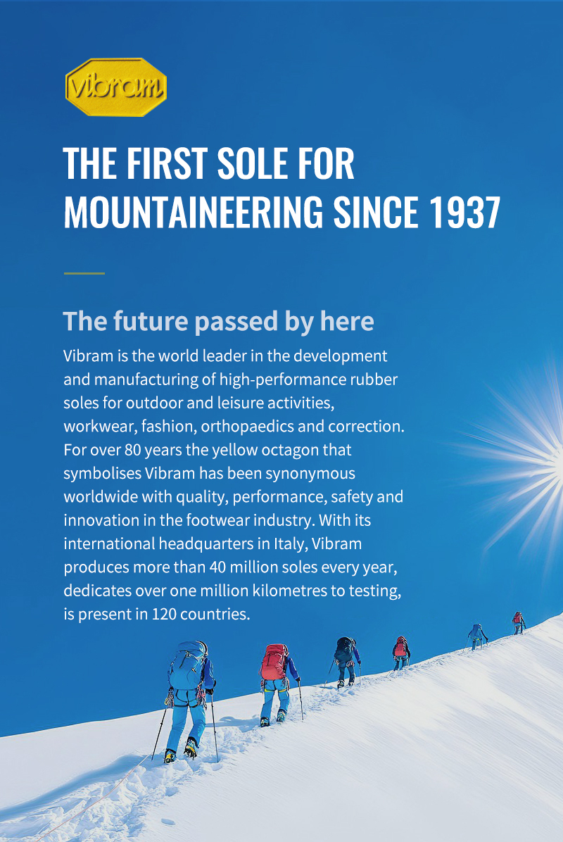 Truelove Luxury Outstanding Vibram Sole Night Reflective Hiking Durable Anti-slip Comfort NEW Arrival 2pcs Pet Dog Boots Shoes (TLS4862)