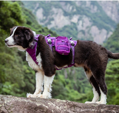 Winhyepet Tactical Military Backpack with reflective (YH1806)