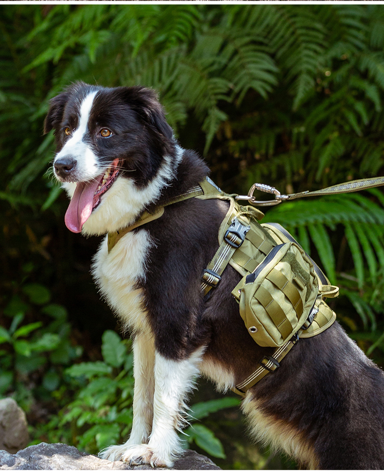 Winhyepet Tactical Military Backpack with reflective (YH1806)