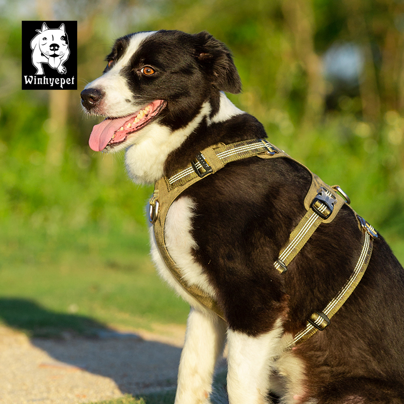 Winhyepet Double H Ultra-Light Safety Harness with reflective (YH1808)