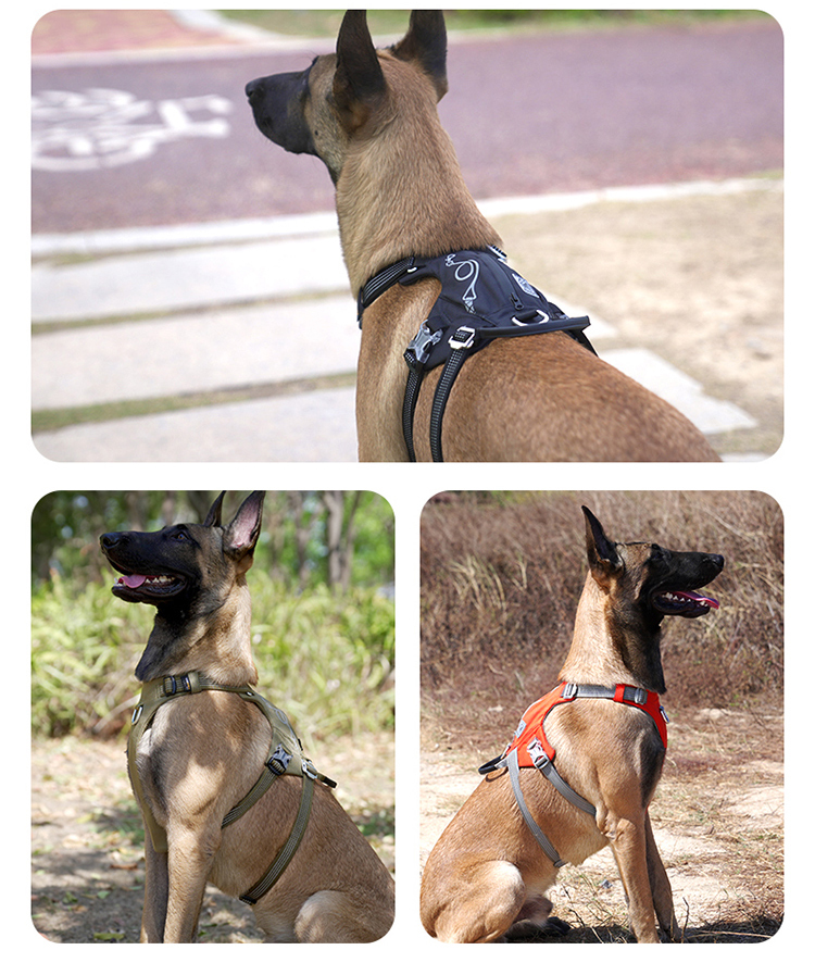 Winhyepet Escape-proof harness with zippered pocket (YH1811)