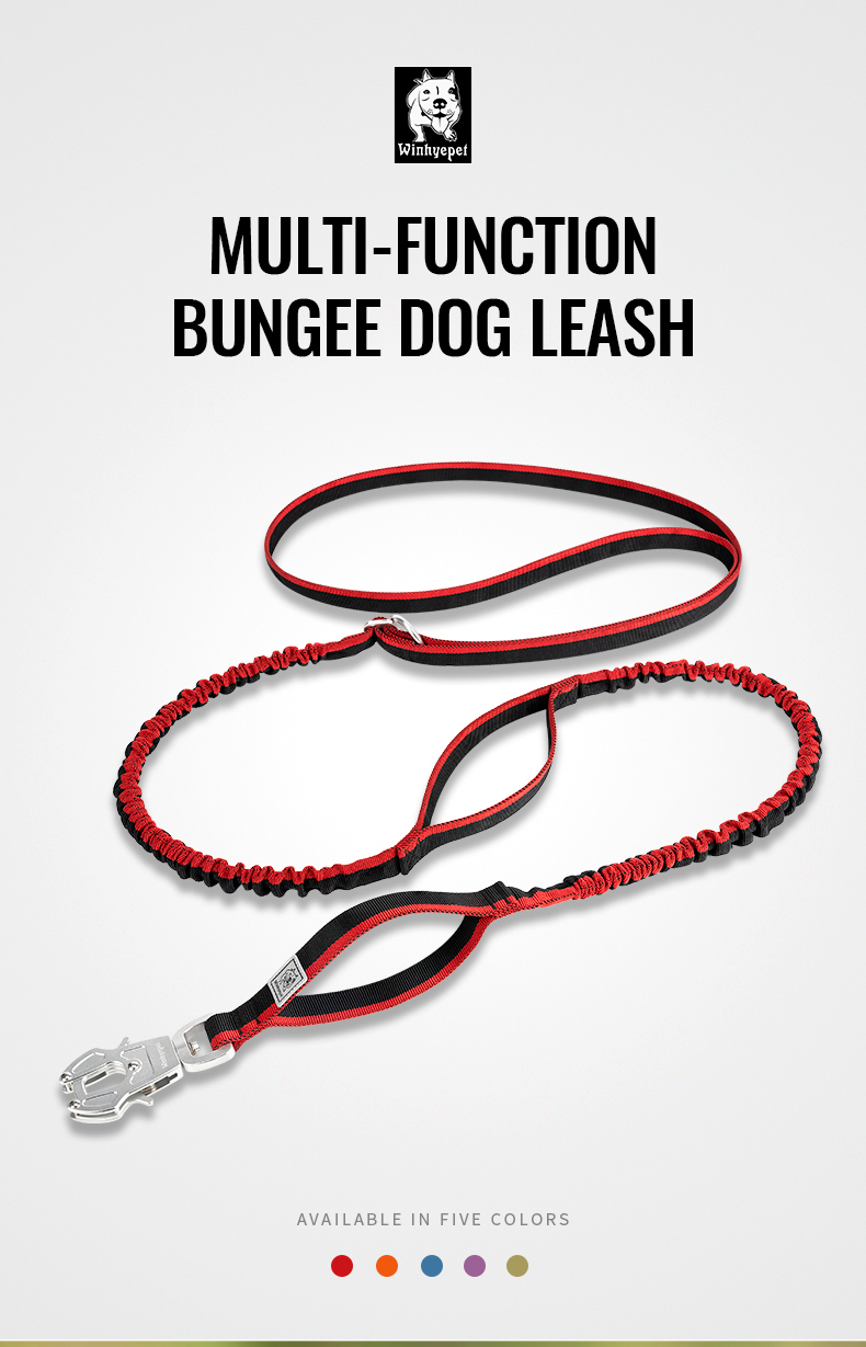 Winhyepet Multi-function bungee dog leash (YL1833)