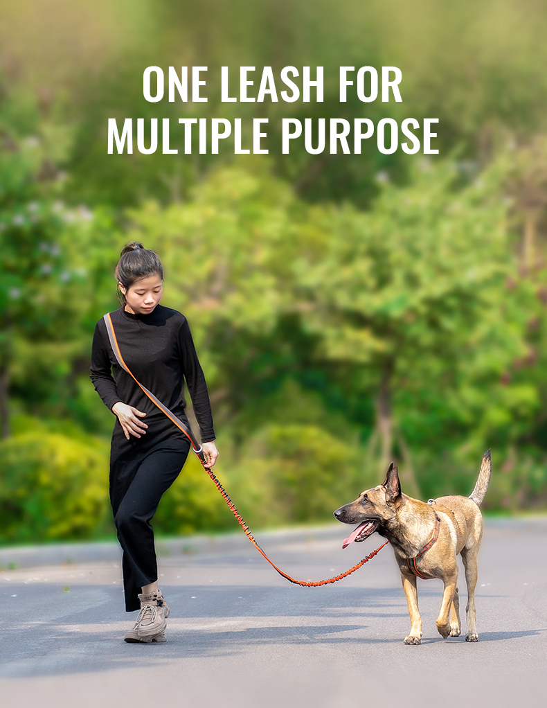 Winhyepet Multi-function bungee dog leash (YL1833)