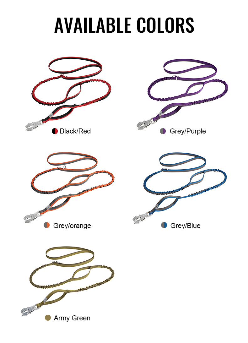 Winhyepet Multi-function bungee dog leash (YL1833)