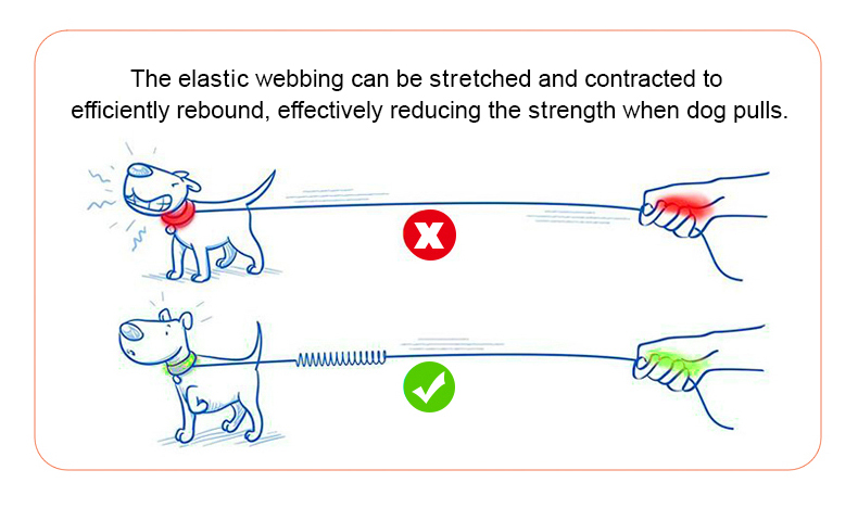 Winhyepet Multi-function bungee dog leash (YL1833)