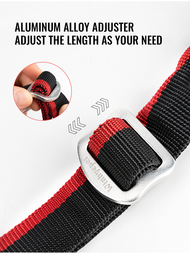 Winhyepet Multi-function bungee dog leash (YL1833)