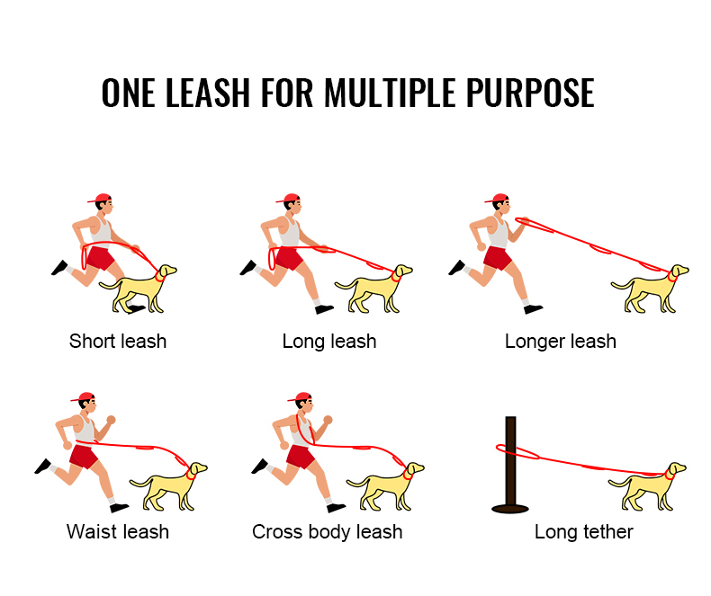 Winhyepet Multi-function bungee dog leash (YL1833)