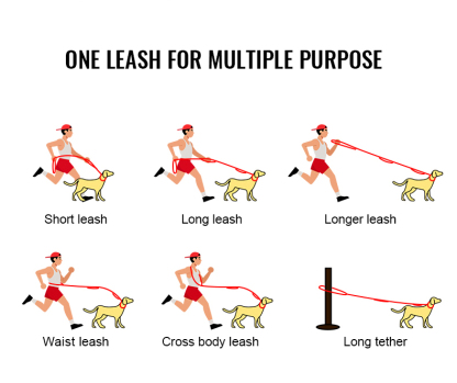 Winhyepet Multi-function bungee dog leash (YL1833)