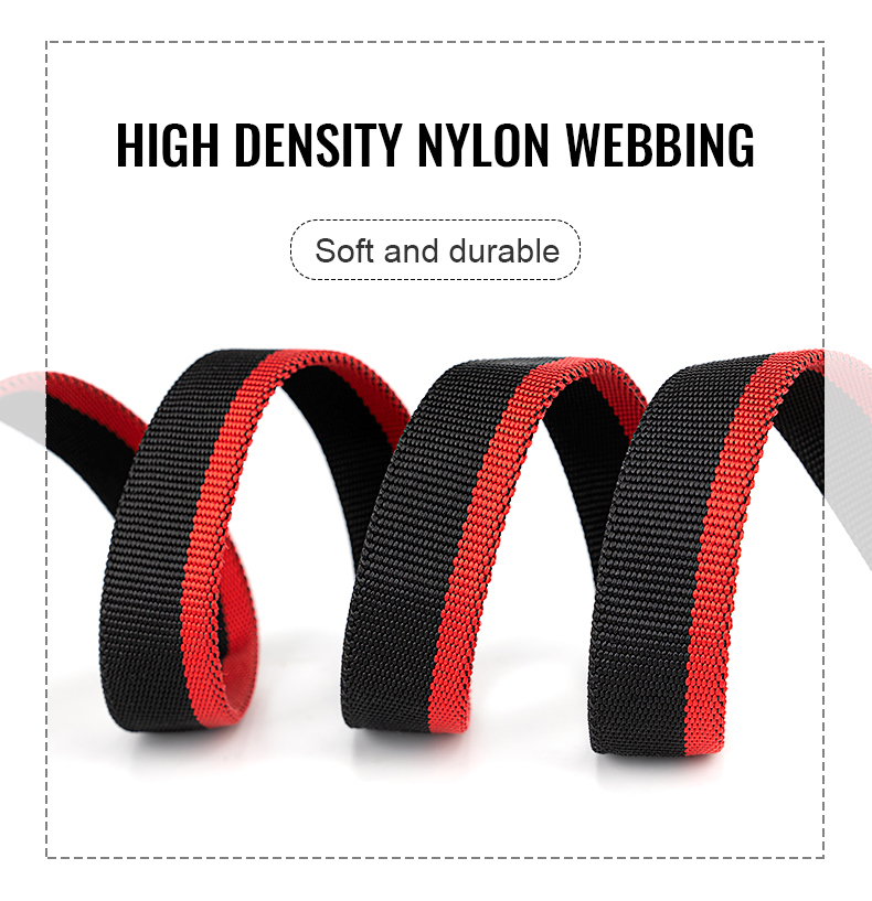 Winhyepet Multi-function bungee dog leash (YL1833)