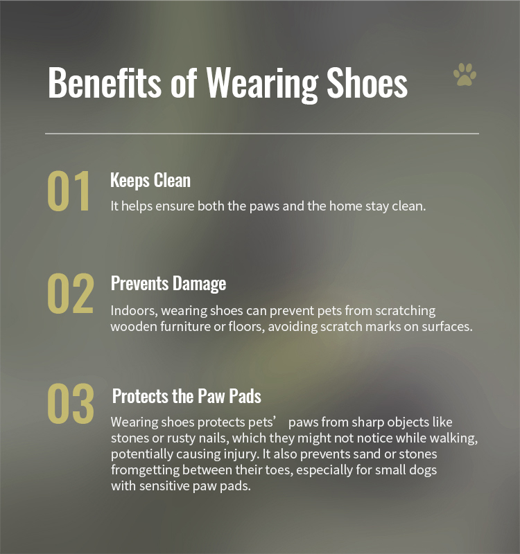 Winhyepet Explorer dog boots (YS1891)