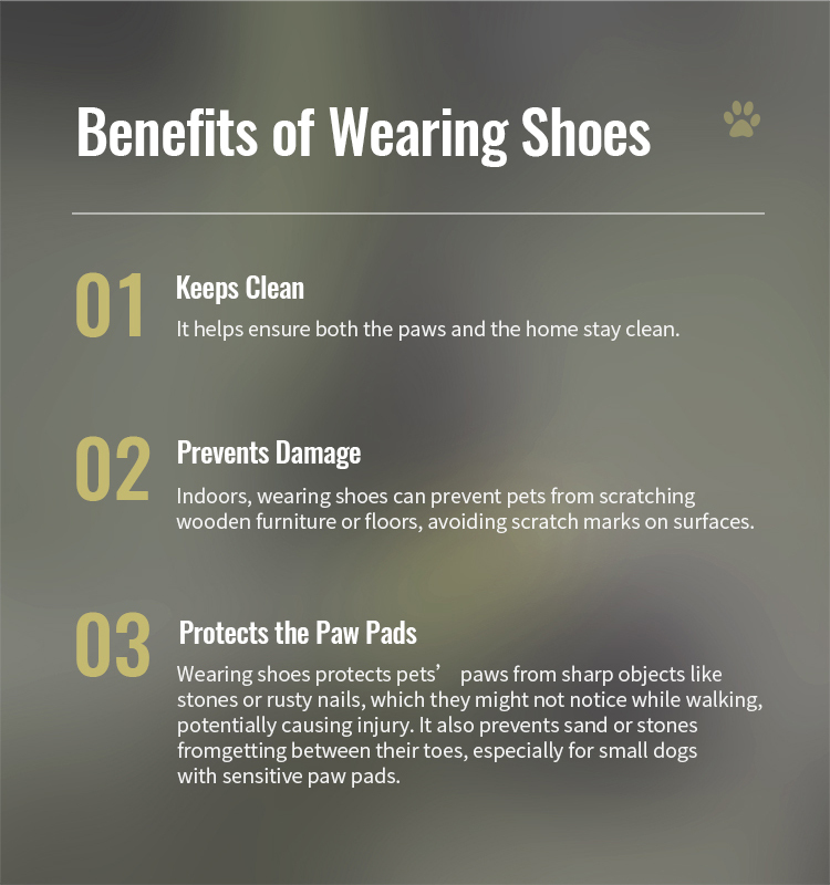 Winhyepet Explorer dog boots (YS1891)