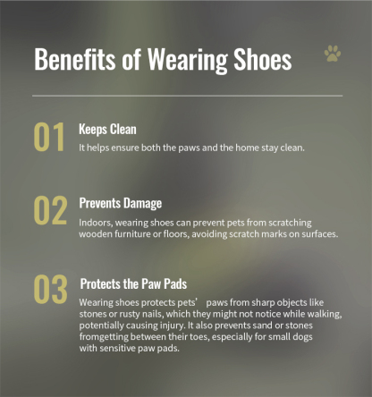 Winhyepet Explorer dog boots (YS1891)