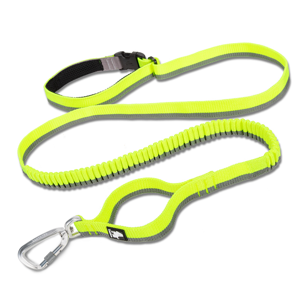 Truelove Nylon Bungee Dog Leash (TLL2271)