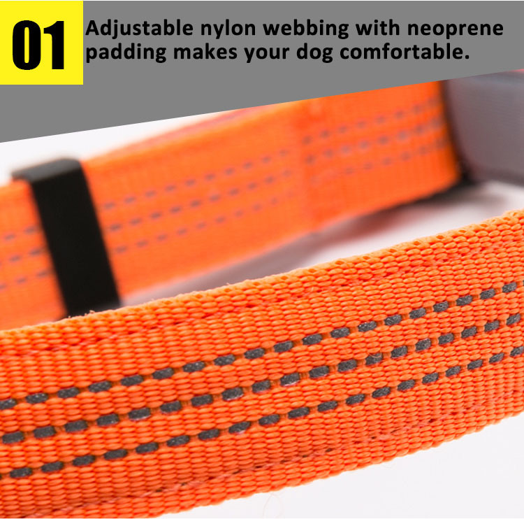 Truelove LED Navigation Light Dog Collar (TLC5271)