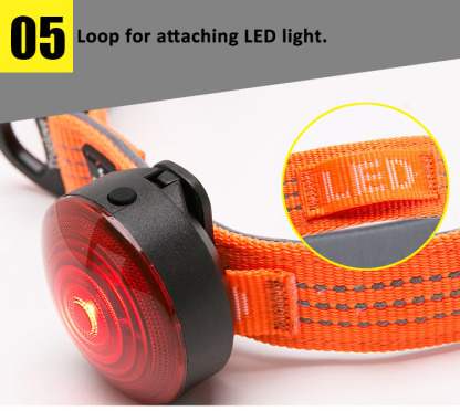 Truelove LED Navigation Light Dog Collar (TLC5271)