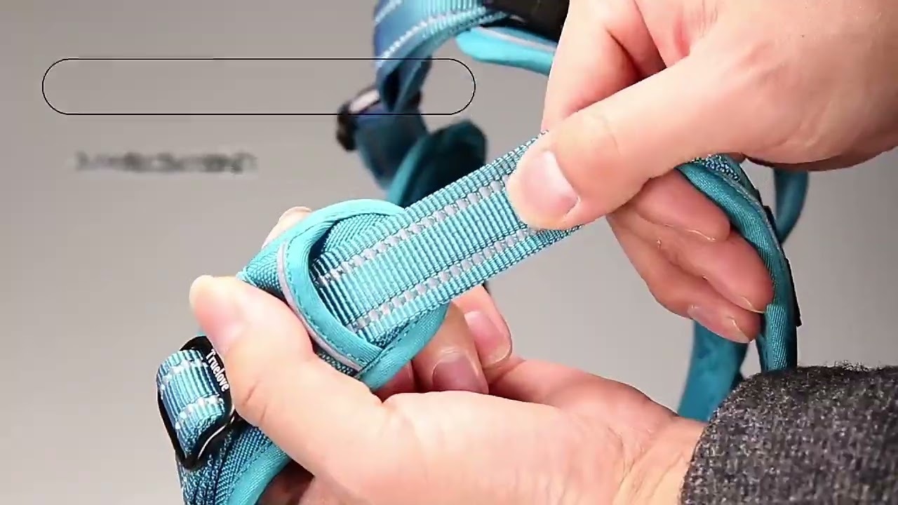 Truelove No-pull Outdoor Dog Harness