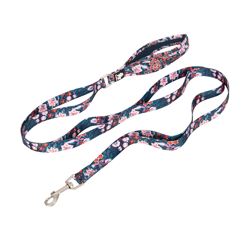 Truelove Polyester Functional Dog Leash (TLL3112)