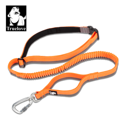 Truelove Nylon Bungee Dog Leash (TLL2271)