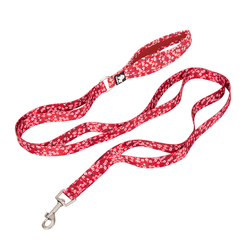 Truelove Polyester Functional Dog Leash (TLL3112)