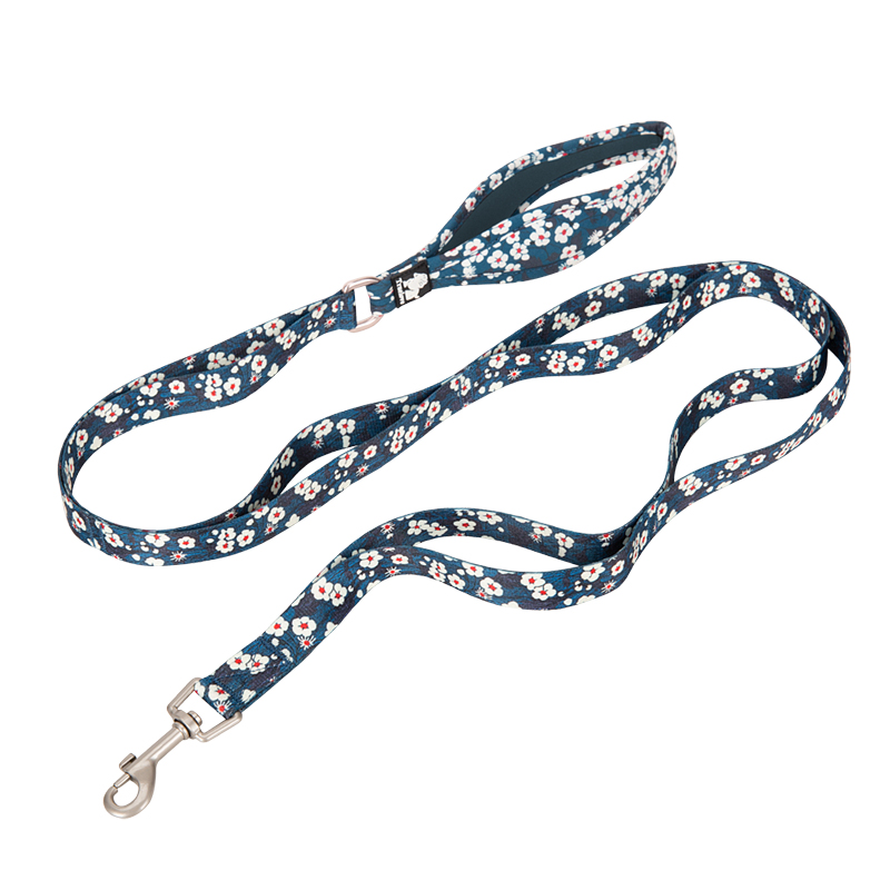 Truelove Polyester Functional Dog Leash (TLL3112)