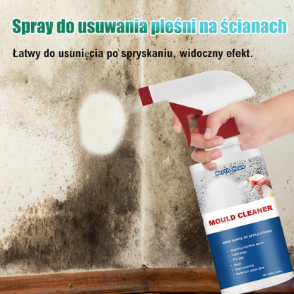 Spray do usuwania pleśni w gospodarstwie domowym