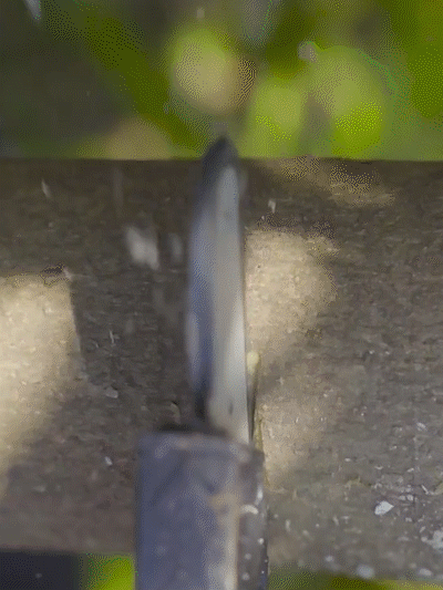 BL-2_18.gif
