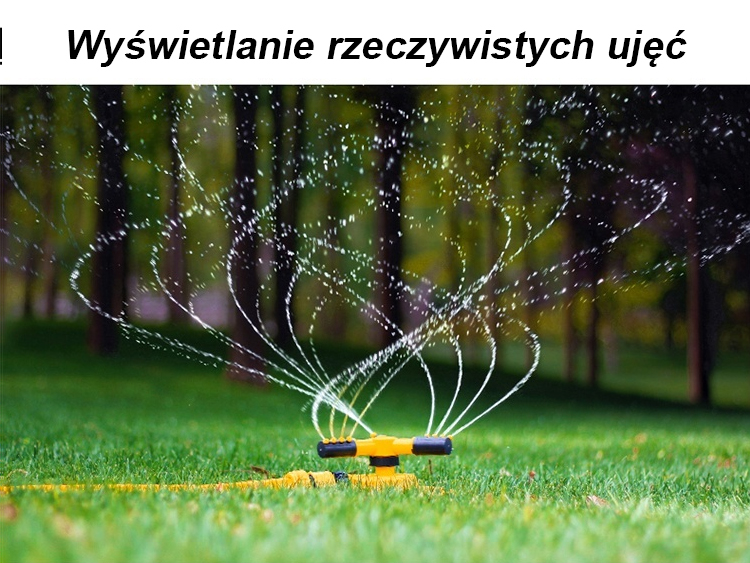 1709828478714169_30.jpg