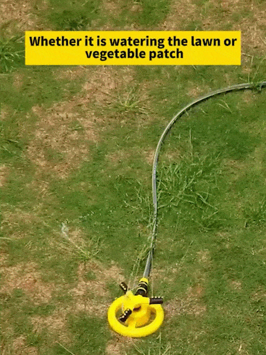 1709828478714169_08.gif