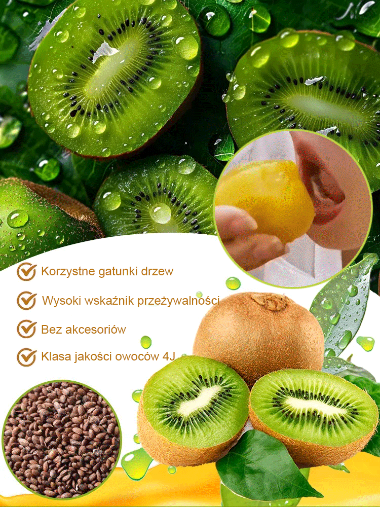 Król witaminy C: 🇳🇿 Nowozelandzka odmiana organiczna, odporna na zimno, nadaje się do uprawy przez cały rok. 🌿