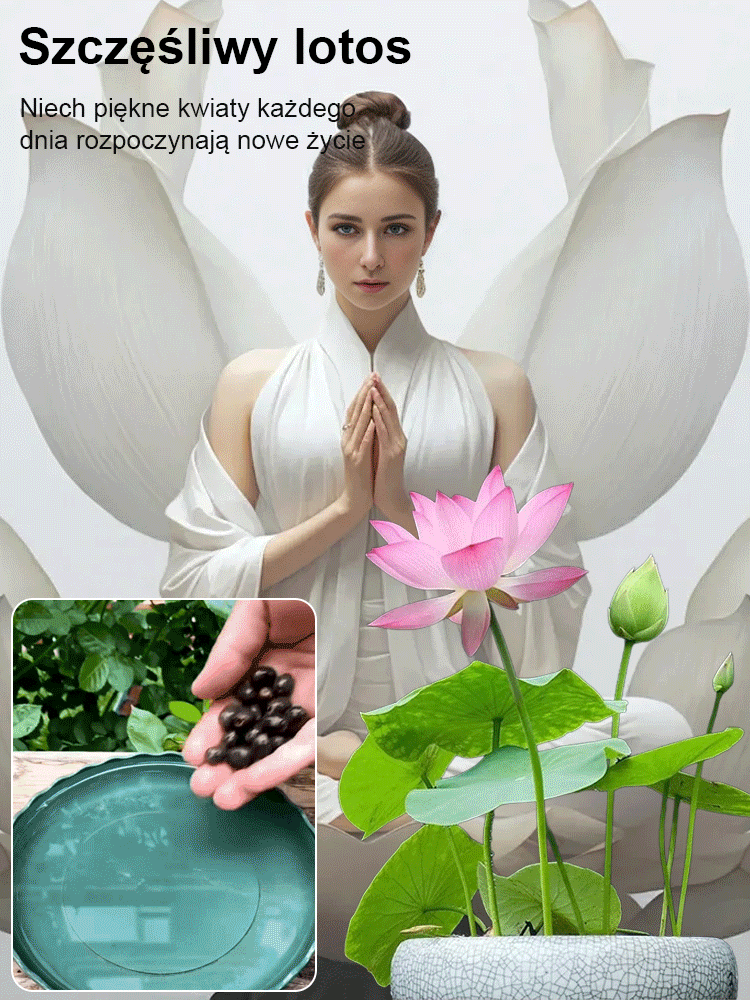 🌼 Żyje dzięki wodzie! Naturalny oczyszczacz powietrza! Kwiaty w domu dzięki wonnym hydroponicznym lotosom 🌼