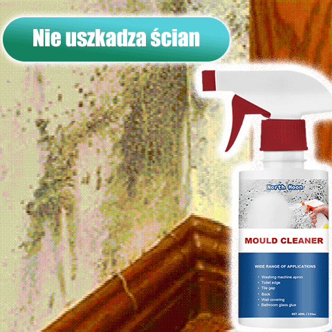 Spray do usuwania pleśni w gospodarstwie domowym