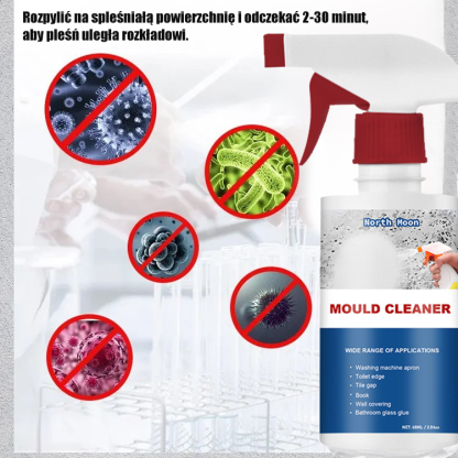 Spray do usuwania pleśni w gospodarstwie domowym
