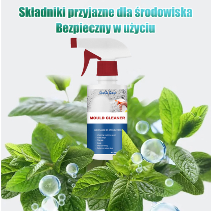 Spray do usuwania pleśni w gospodarstwie domowym