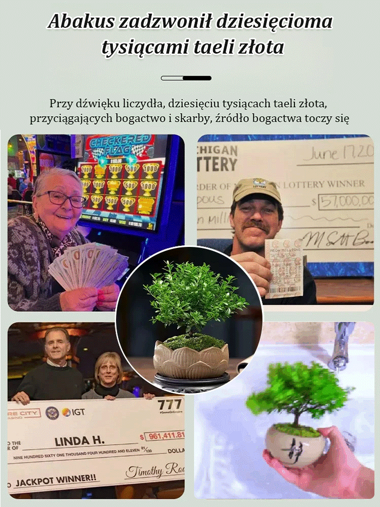 🌱 【Gimozielone przez cały rok】Nasiona Panthus minifolia👇Umieszczenie tej doniczki w domu może przynieść Ci szczęście i szczęście!