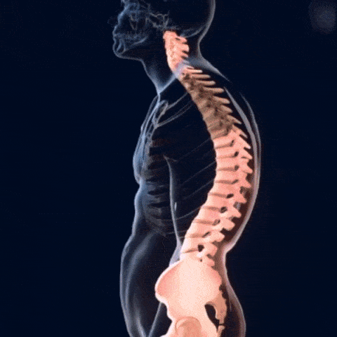 Corrector De Postura Unisex - &iexcl;Oferta por tiempo limitado! &ndash; MegaShop&trade; Colombia