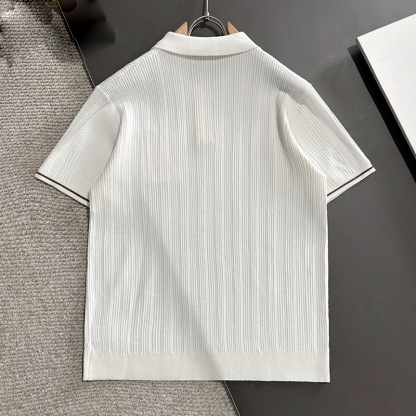 2025 New Spring Summer Combed Cotton Yarn Knitted Fabric High GSM Pure Cotton 3D Embroidery Craft Loose Fit Men's Polo Short Sleeve T-Shirt