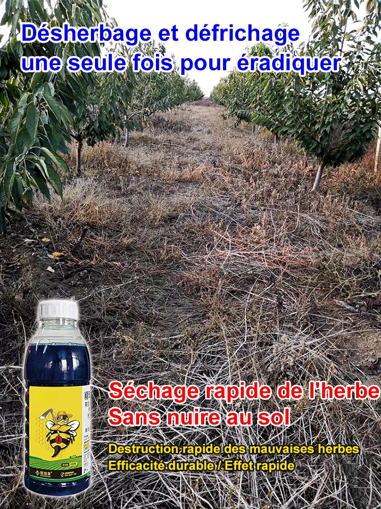 Herbicide pour racines mortes et racines pourries