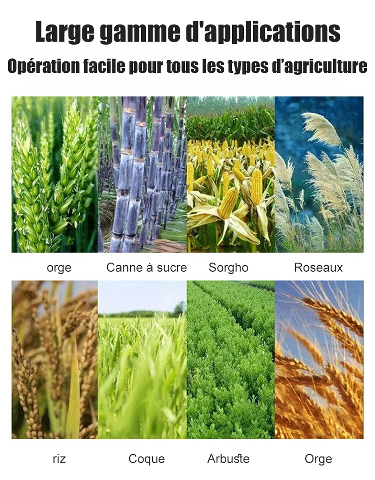 Tête de tondeuse à gazon à roue de désherbage à fil