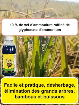 Herbicide pour racines mortes et racines pourries