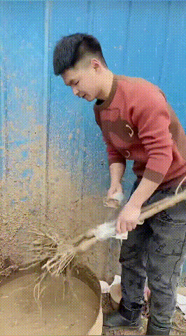 1_08.gif