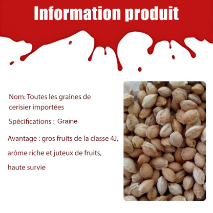 🔥🔥🔥80 % de réduction！[Vers la liberté de Chelsea] Récolte en 3 mois, Taux de survie de 99 %, Convient à tous les climats et sols