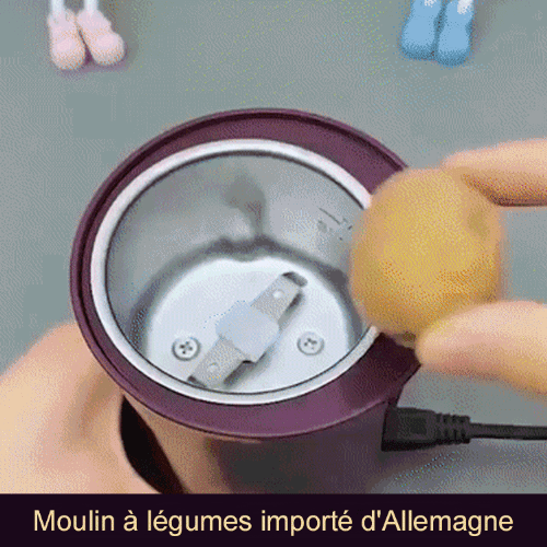 Petit moulin à légumes pour la maison