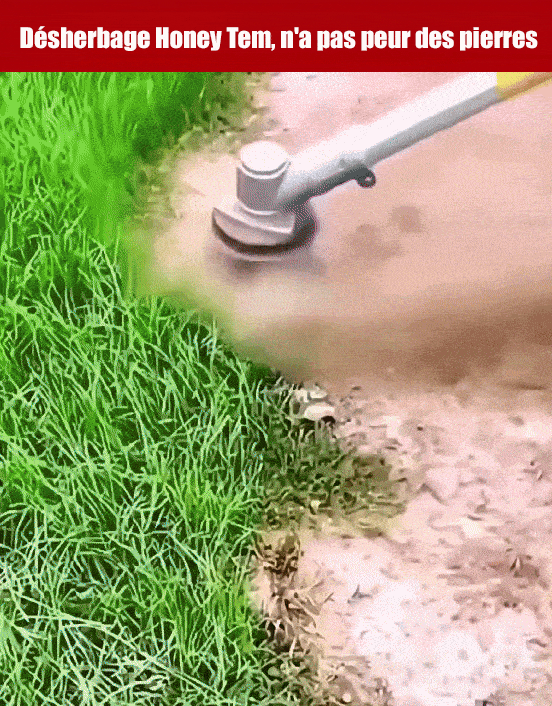 Tête de tondeuse à gazon à roue de désherbage à fil