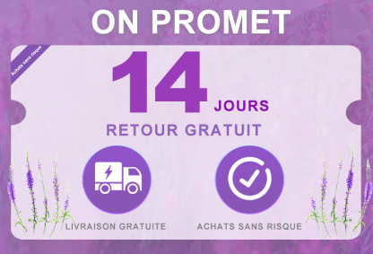 Dispositif anti-effraction domestique