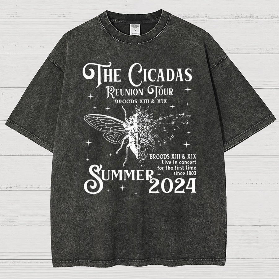 The Cicadas Reunion Tour Summer 2024 Vintage Distressed T-shirt