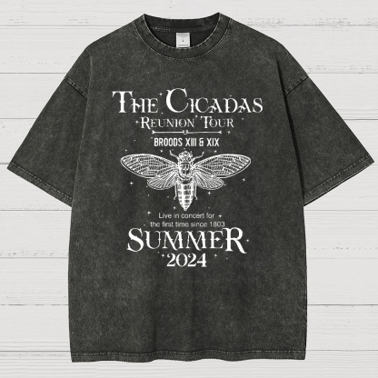 The Cicada Reunion U.S Tour 2024 Cicada Vintage Distressed T-shirt